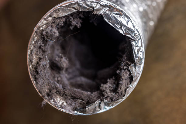 Best Ventilation Cleaning Services  in Butler, IN